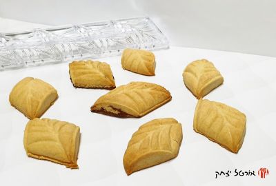 עוגיות שוקולד