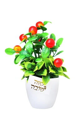 עציץ רימונים+כרטיס שנה טובה זהב