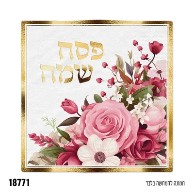 מפית פסח שמח * 16 יח'