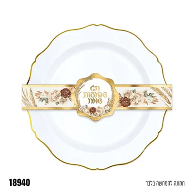 חבק לצלחת שבועות שמח 10 יח